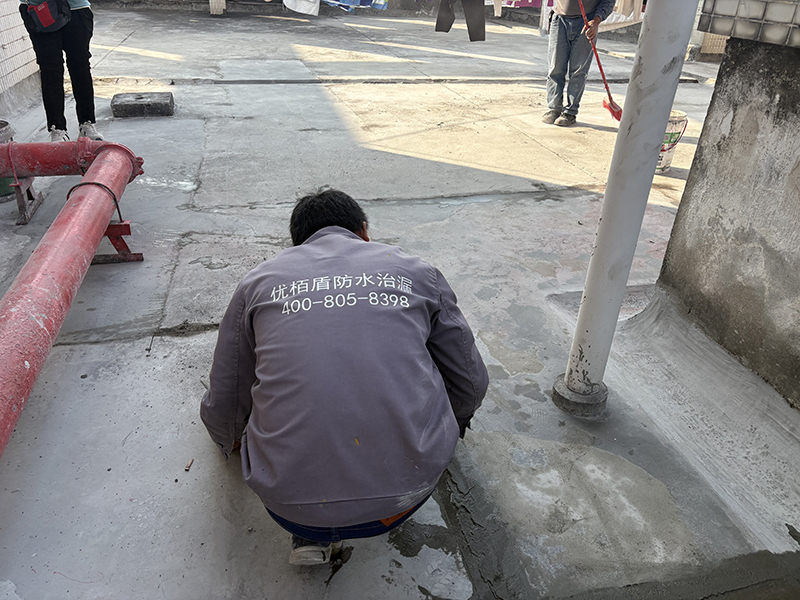 微信圖片_2026-02-02_161624_033 拷貝.jpg
